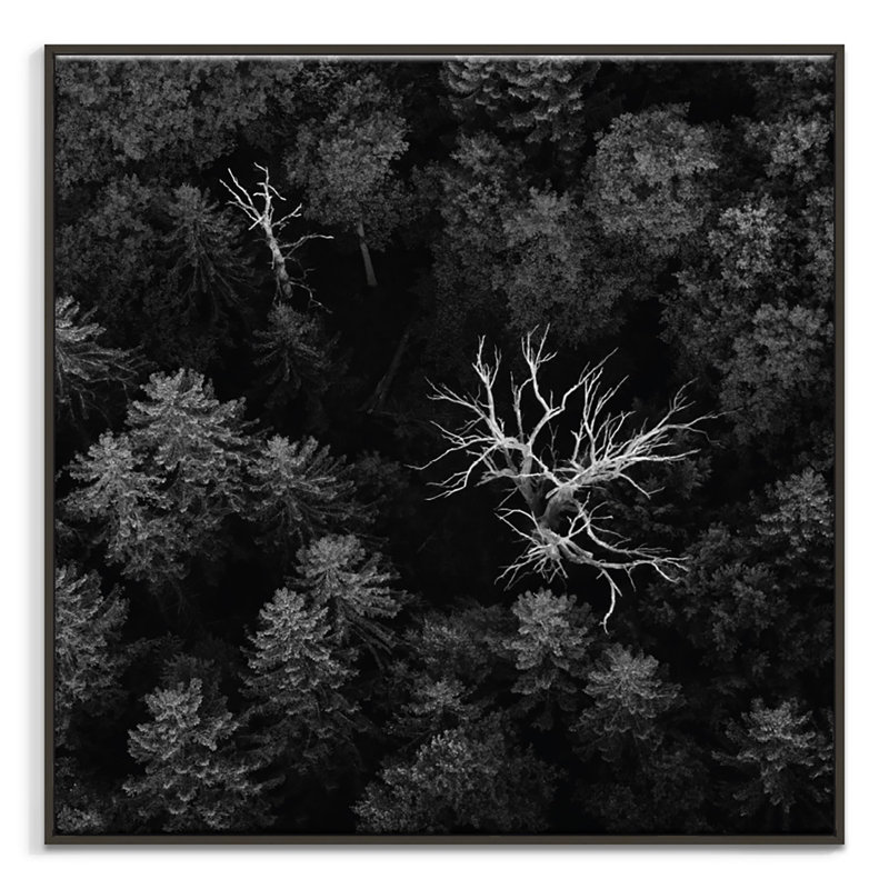 Print on Canvas, Black, 102cm H x 102cm W