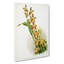 Magnolia Flowers Illustration Tab.84 by Frederick Sander - Wrapped Canvas-55309917