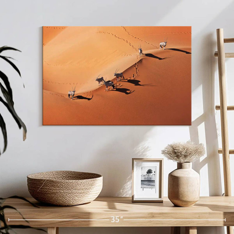 Scène du désert du Namib, H 16 po x l 24 po