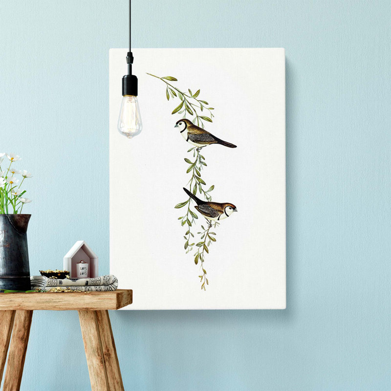 Black-Rumped Finch Birds by Elizabeth Gould - Wrapped Canvas Painting, 50cm H x 35cm W x 3cm D
