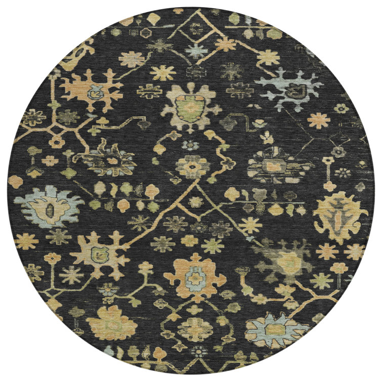 Machine Washable Indoor/Outdoor Xhevrie Black Rug