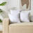 Down Feather Square Pillow Insert (Set of 2)-108830395