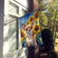 Drapeau de la maison du tournesol Malamute d'Alaska-112706257