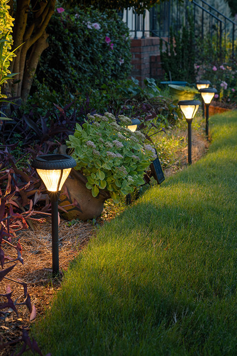 Landscape Lighting