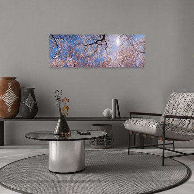 Low Angle View Of Cherry Blossom Trees, Washington Dc, Usa Tranquil Abstract Contemporary Cherry Tree Flower Nature Wall Art