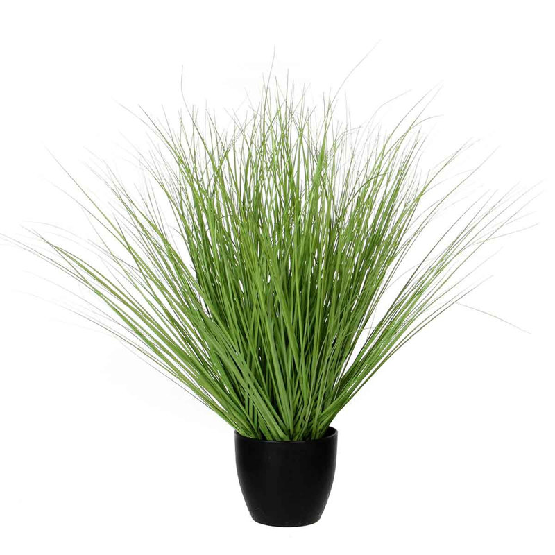 68cm Grass in Pot