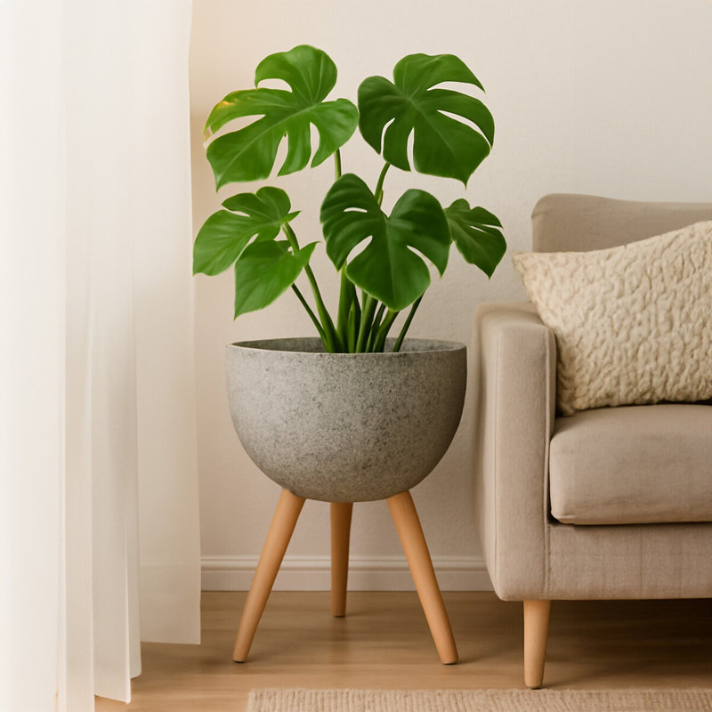 Mondovi Fiberglass Cachepot, 70cm H x 49cm W x 49cm D