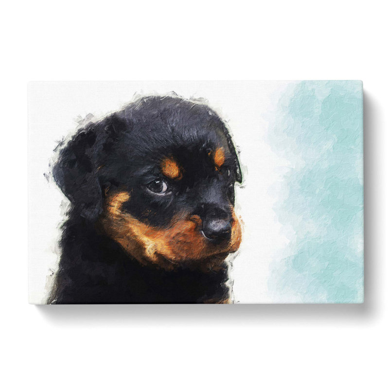 Rottweiler Puppy - Wrapped Canvas, 40cm H x 60cm W x 3cm D