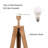 Nalan 61.4'' Tripod Floor Lamp-1412024465-1412034023