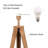 Nalan 61.4 " Tripod Floor Lamp-1412024465-1412034023