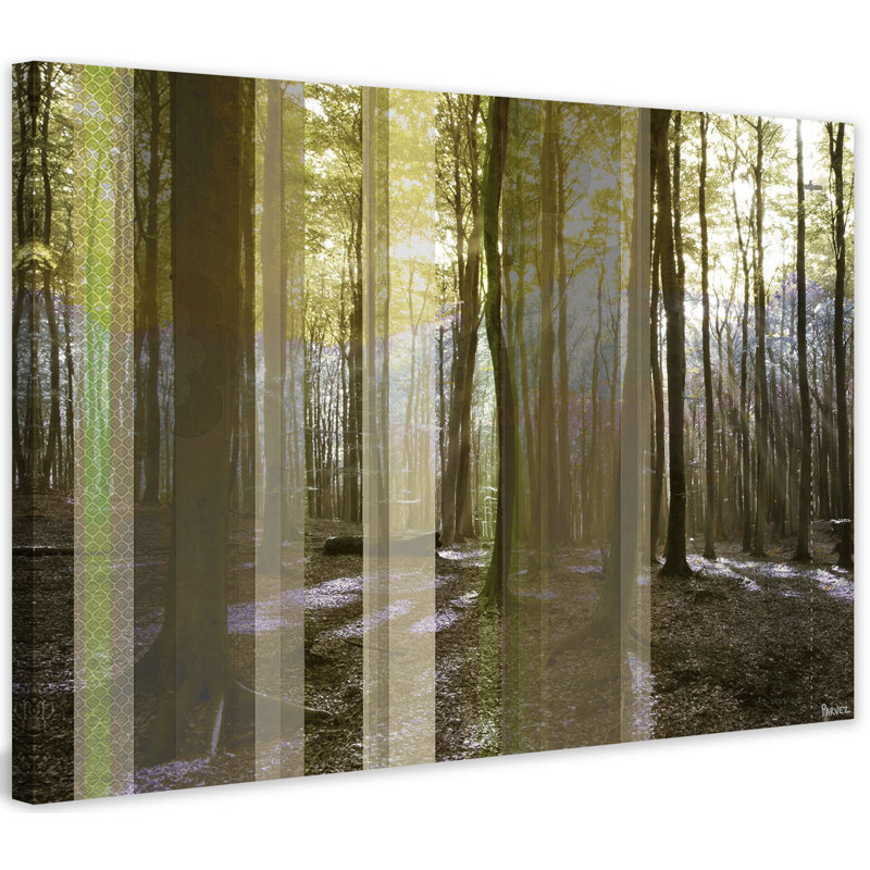 Parvez Taj - Wrapped Canvas Print, 101cm H x 152cm W