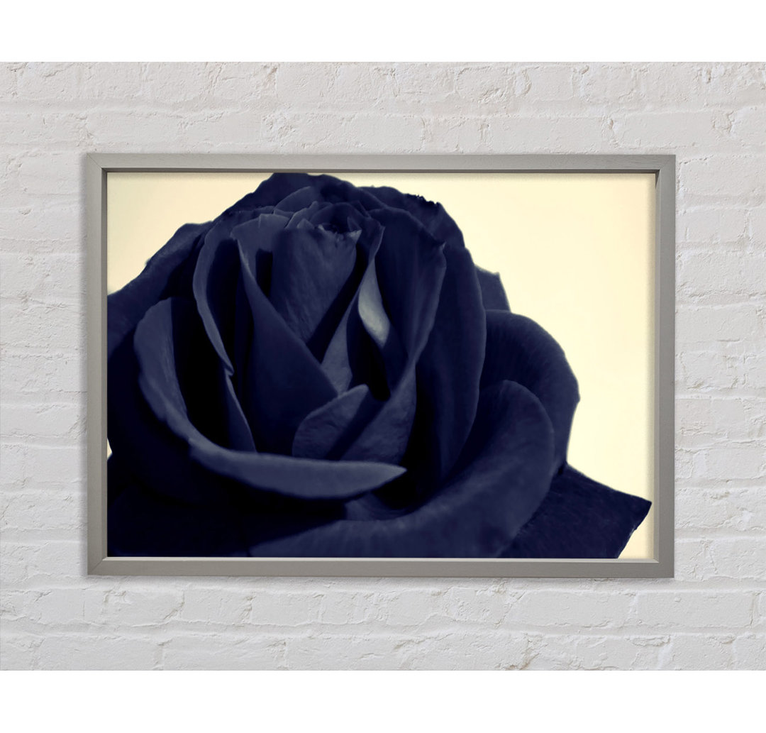 Schwarze blaue Rose - Einzelner Bilderrahmen Kunstdrucke auf Leinwand