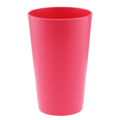 Cychosz 10 oz. Plastic Drinking Glass