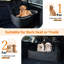 Dog House-1892068803