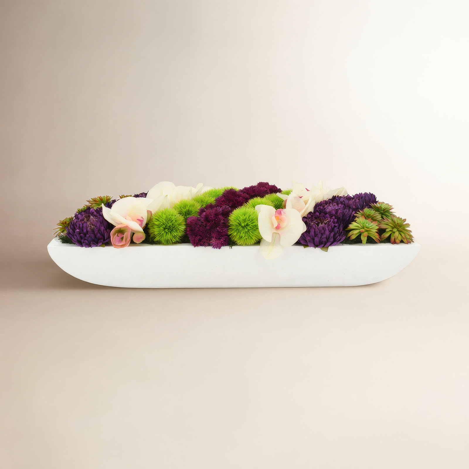Adelina Orchid and Succulent Arrangement, 7" H x 26" W x 11" D