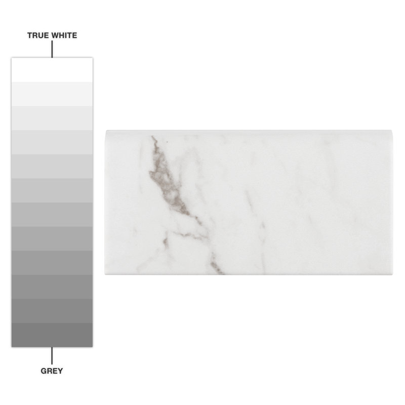 Classico Carrara 6" x 3" Matte Ceramic Bullnose Tile Trim in White/Gray