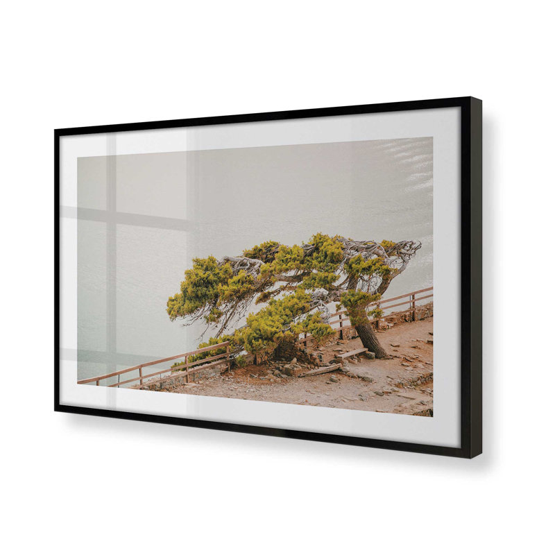 Motif de beauté balayée par le vent, H 12 po x l 15 po x P 1,25 po, Cadre photo noir satiné