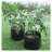 VEVOR Growing Kit-100614000