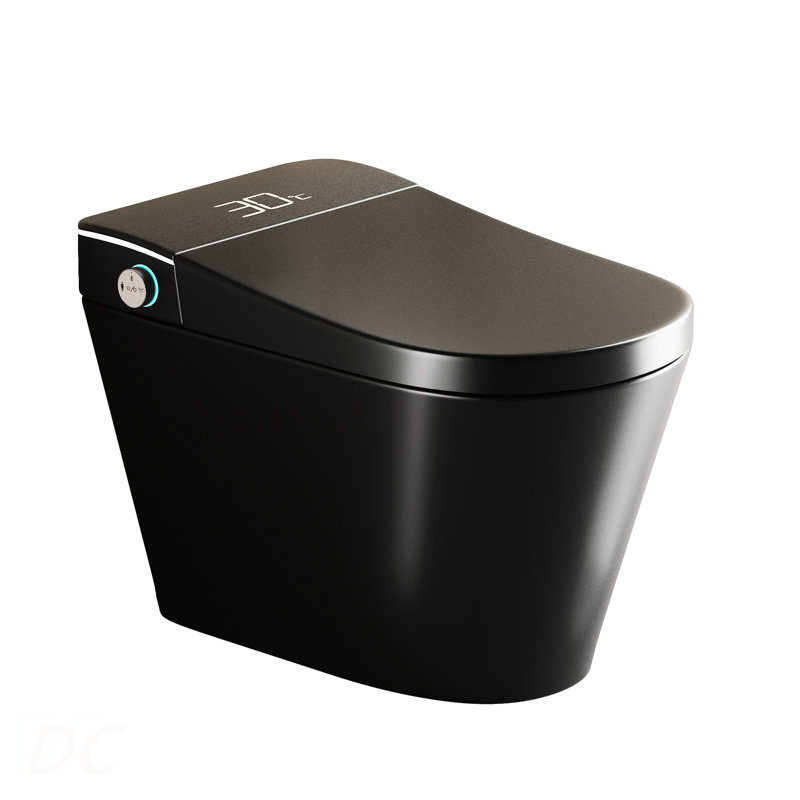 Unique Smart Toile,  One Piece Toilet with Bidet Built In,Intelligent Toilet Auto Open/Close Seat. Bidet toilet with Dryer and Warm Water.BLACK