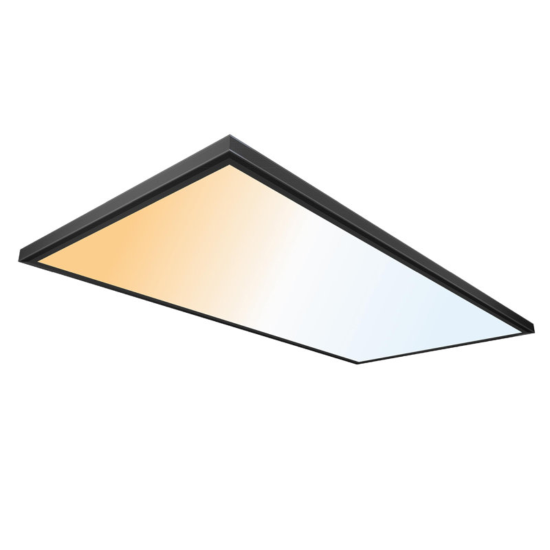 Surface Mount Ceiling Light Panel – Slim, Edge Lit, Flush Mount Flat Panel, 48" W x 24" D, Matte Black
