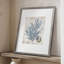 Reproduction encadrée de varech II - bois massif 50652-950032858
