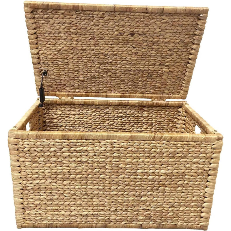 Coffre de rangement Ehemco