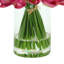 White Tulips Arranged in Glass Vase-1235766601