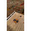 Tapis en laine et coton noué à la main Original Original