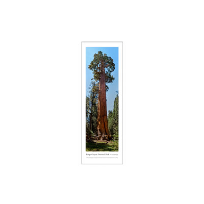 Reproduction panoramique du parc national Kings Canyon - général Grant