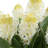 Uttermost Sincerity Potted Hyacinth Plant