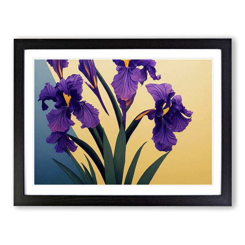 Dazzling Iris Flowers - Single Picture Frame Print, Black, 34cm H x 46cm W x 2cm D