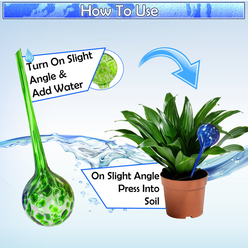 Cloche Or Water Globe