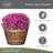Whiskey Barrel Planters - Wooden Finish Flower Planter Pot - Decorative Garden Pots - Indoor & Outdoor Resin Planters - Weather-Resistant Planting Pots