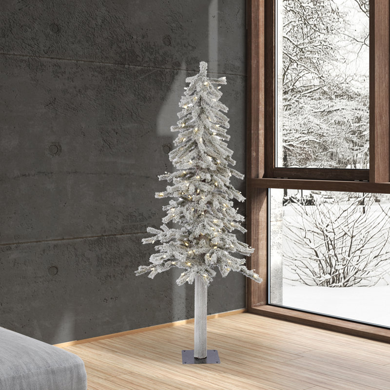 5' Lighted Pine Christmas Tree