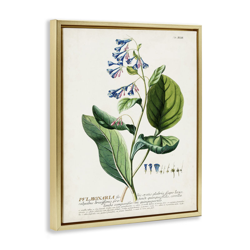 Conception botanique de fleurs rétro, H 21 po x l 17 po, Cadre flottant métallique doré