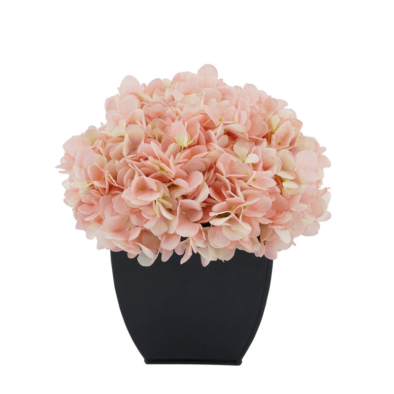 Arrangement floral hortensia en pot, Rose