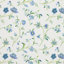 Bluebell