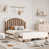 Beige / Naturel