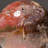 Polished Polychrome Sphere from Madagascar-55243175-103622391
