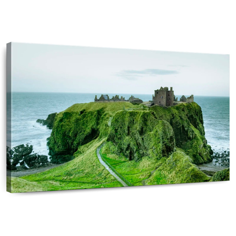 Lilie Dunnottar Castle, H 34 po x l 51 po