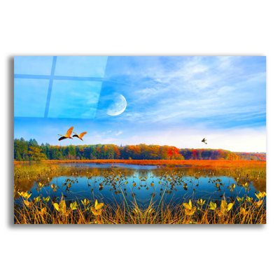 " Nature Collection 40 " by Ata Alishahi