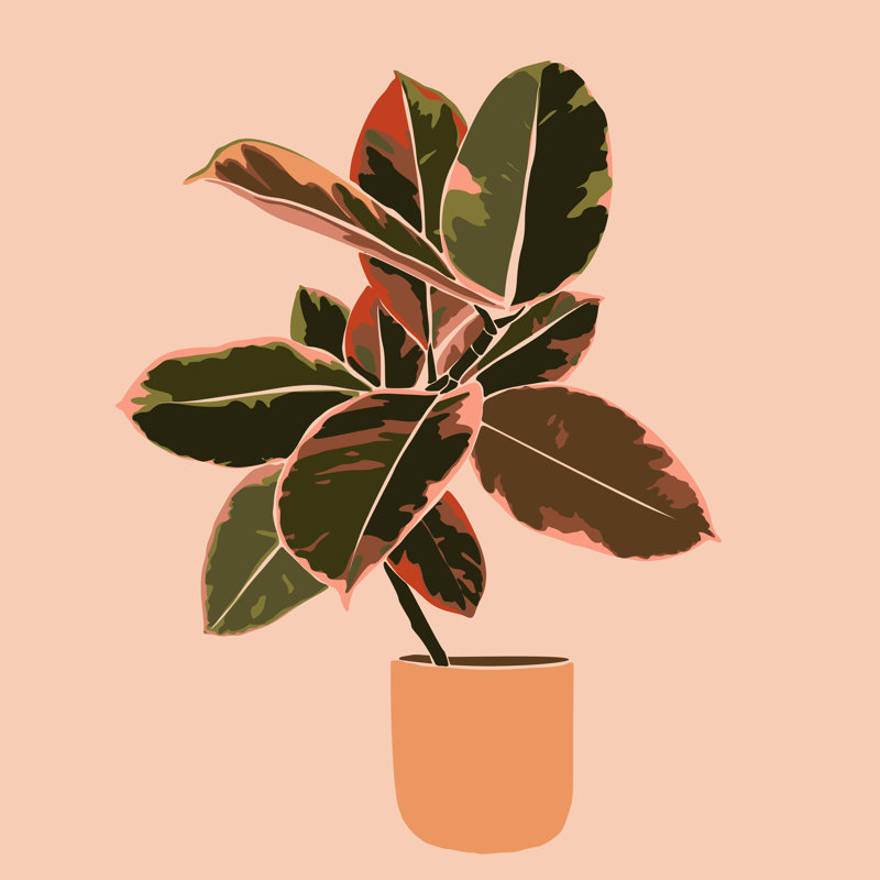Silhouette d'une plante, H 12 po x l 12 po