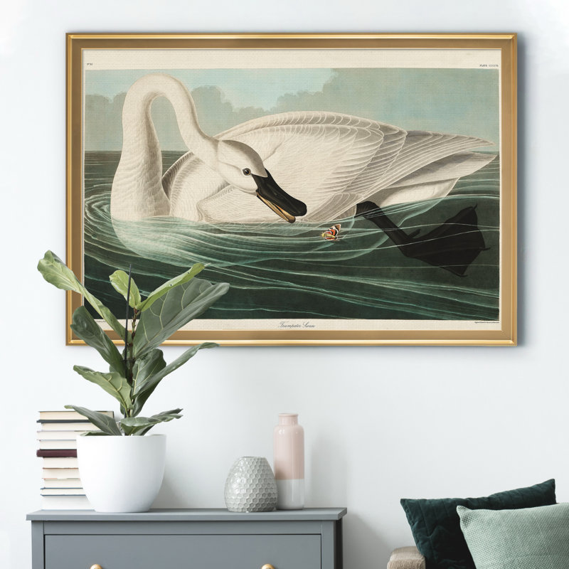 Trumpeter Swan - reproduction d'art sur toile, H 18,5 po x l 24,5 po x P 1,5 po, Doré