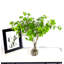 Branche de saule artificiel dans un vase