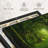 Mossy Green Forest Canvas Print-102354559