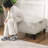 28" Square Storage Ottoman Bench-1845057600