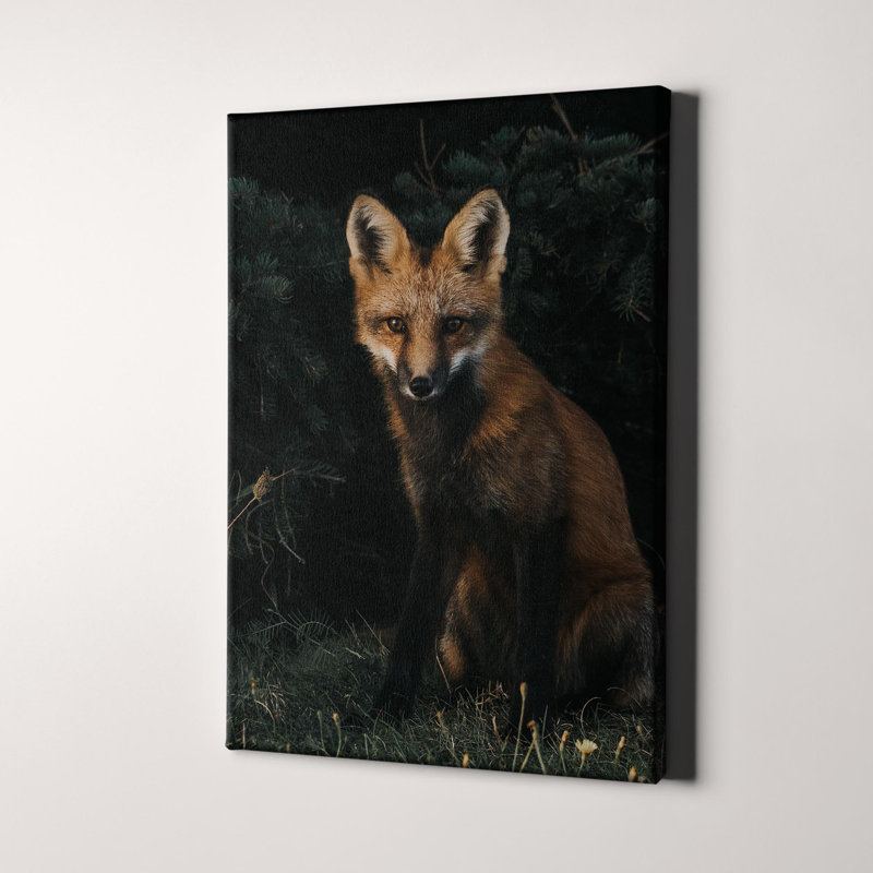 Le renard roux