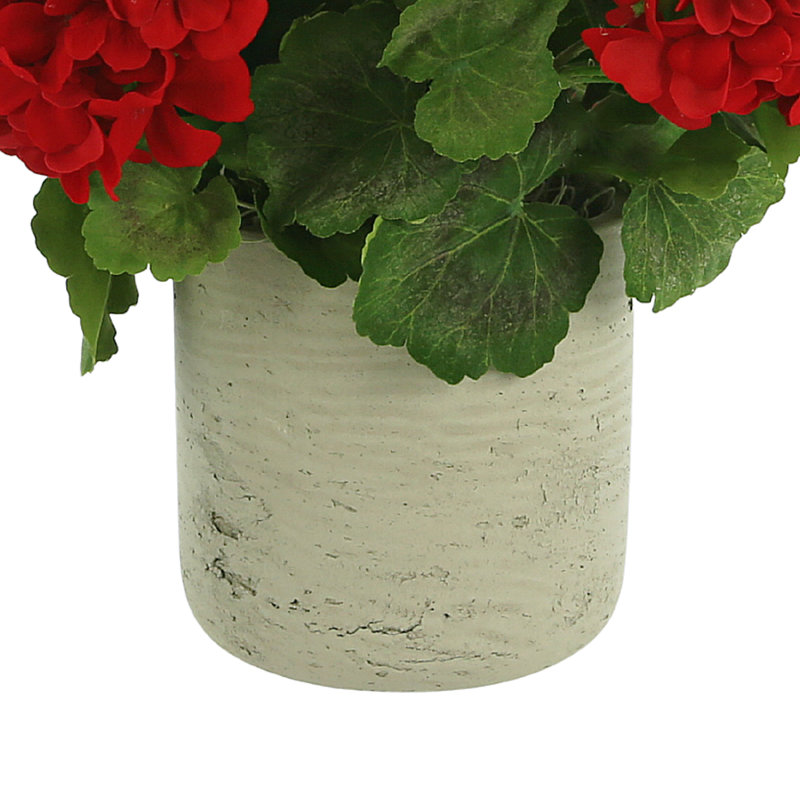UV Protected Potted Geranium Arrangement