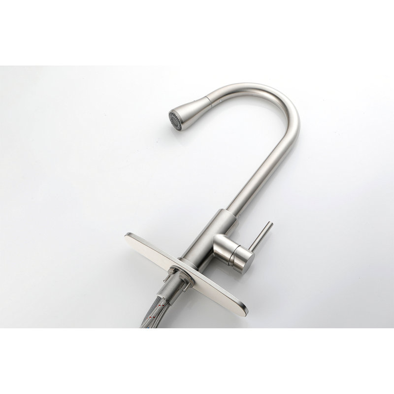 Single Handle Kitchen Sink Faucet With Pull Out Sprayer