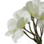 Polyethylene (PE) Geranium Arrangement